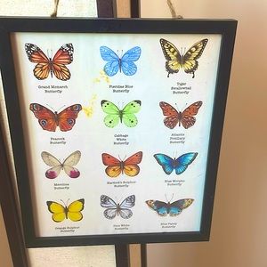 Detailed butterfly description picture black dramed glass shield